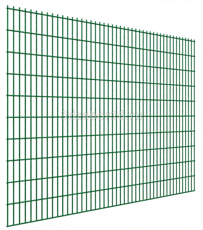 Панель 2D 1,03x2,5м; d5/6мм; яч.200х55; Zn+ПП RAL6005