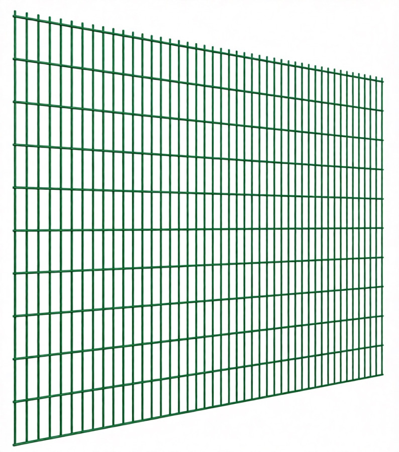 Панель 2D 1,03x2,5м; d5/6мм; яч.200х55; Zn+ПП RAL6005